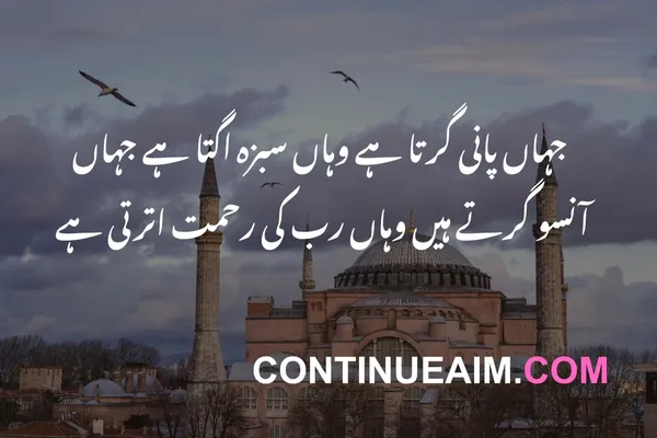 Maulana Rumi Quotes in Urdu