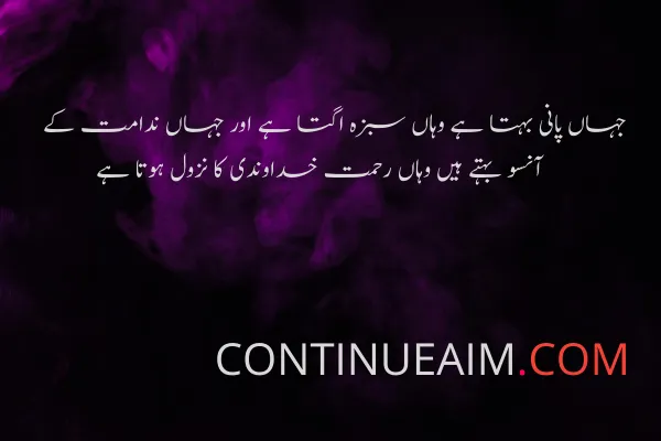 Islamic Quotes in Urdu