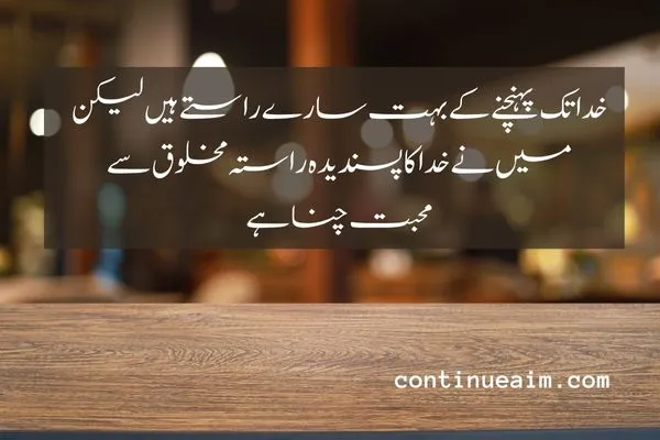 Maulana Rumi Quotes in Urdu