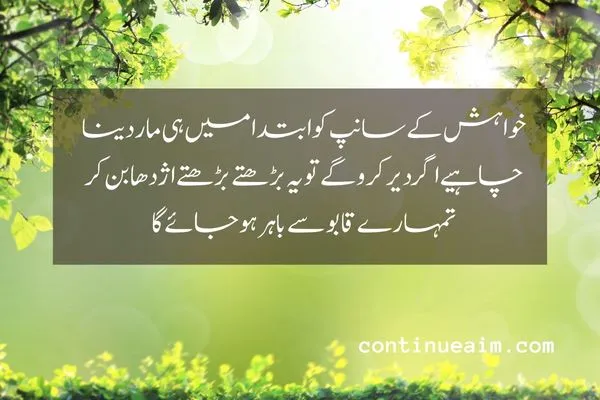 Maulana Rumi Quotes in Urdu