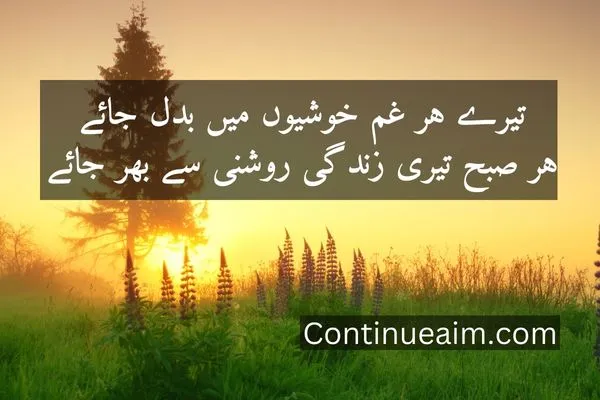 Good Moring Quotes in Urdu