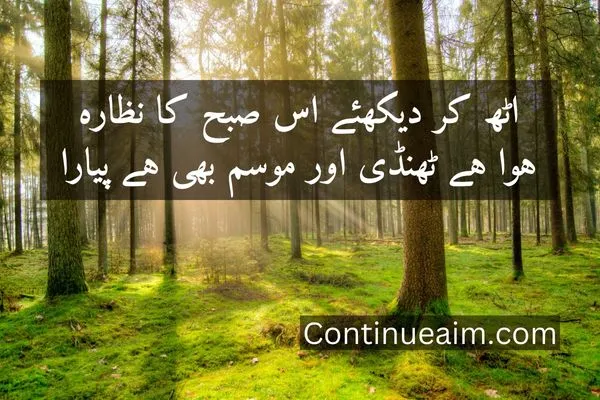 Good Moring Quotes in Urdu