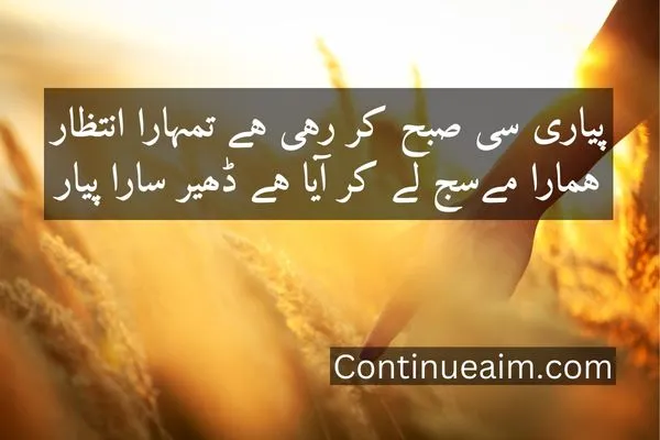 Good Moring Quotes in Urdu