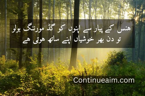 Good Moring Quotes in Urdu