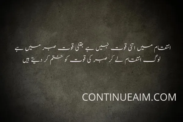 Sabar Quotes in Urdu