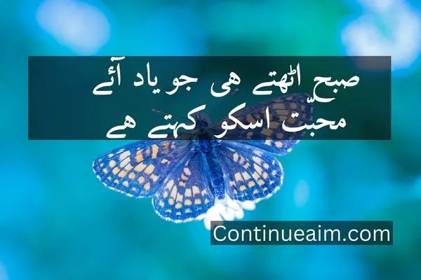Good Moring Quotes in Urdu