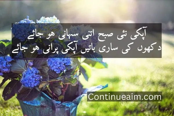 Good Moring Quotes in Urdu