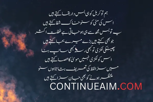 Tareef Quotes in Urdu