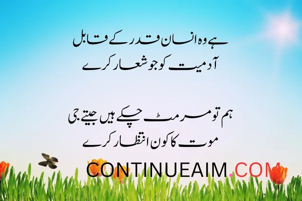 Mohabbat Ka Izhaar Shayari