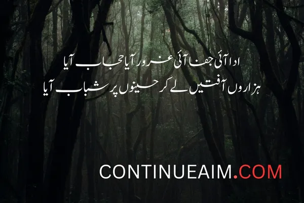 Tareef Quotes in Urdu