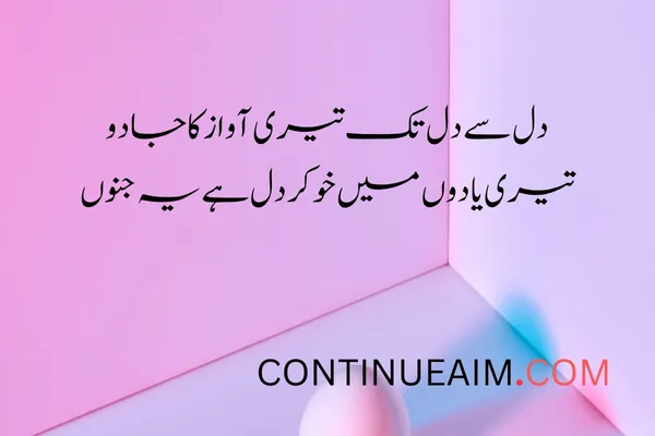 Dil Quotes in Urdu