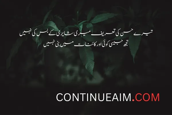 Tareef Quotes in Urdu
