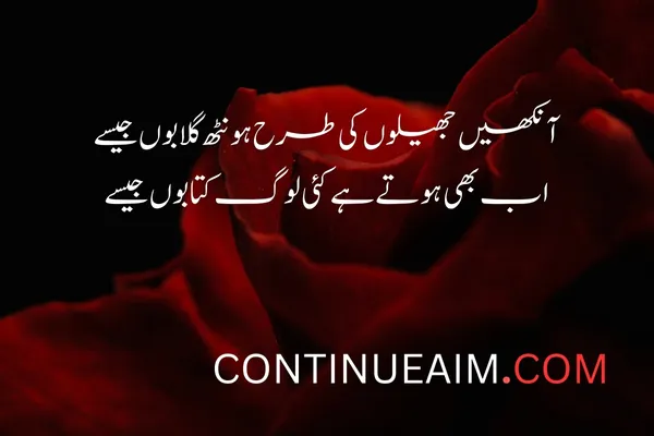 Tareef Quotes in Urdu