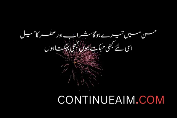 Tareef Quotes in Urdu