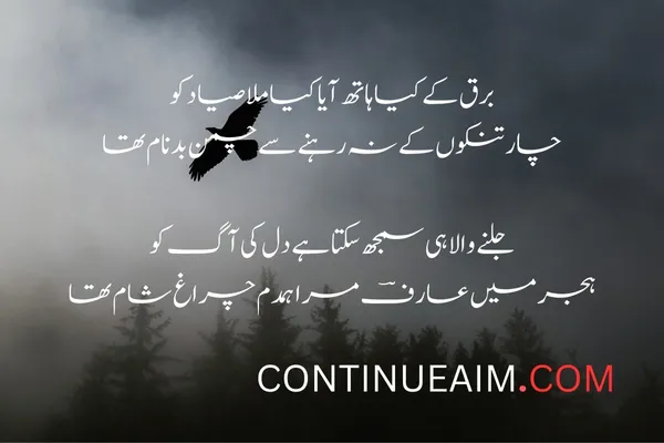 Mohabbat Badnaam Shayari