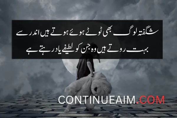 Udas Quotes in Urdu