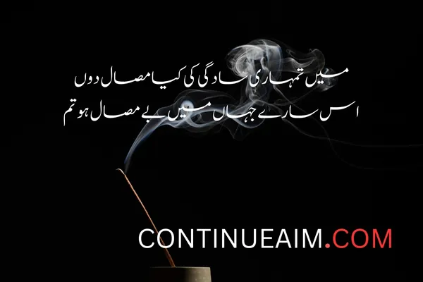 Tareef Quotes in Urdu