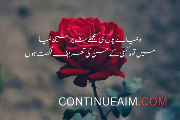 Tareef Quotes in Urdu