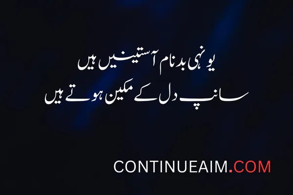 Kisi Ko Badnaam Karna Status in Urdu