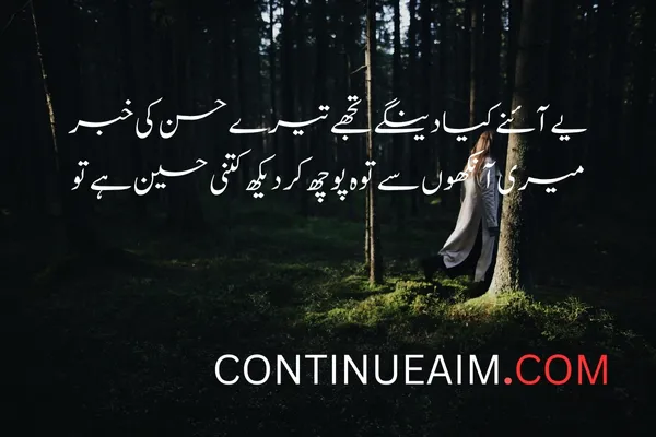 Tareef Quotes in Urdu