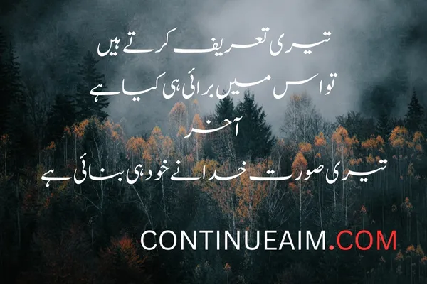 Tareef Quotes in Urdu