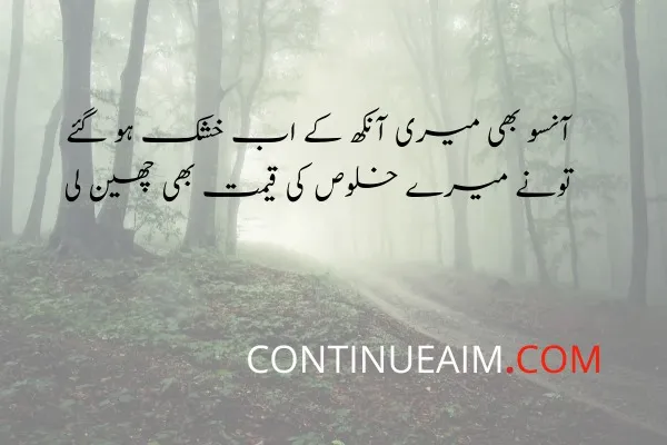 Ansu Quotes in Urdu