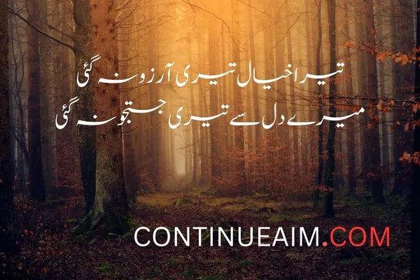 Arzoo Quotes in Urdu