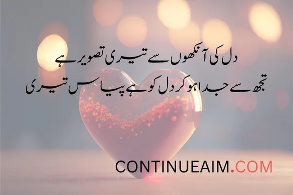Dil Quotes in Urdu