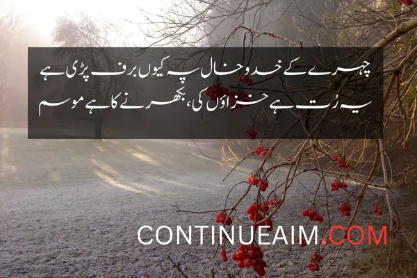 Udas Quotes in Urdu