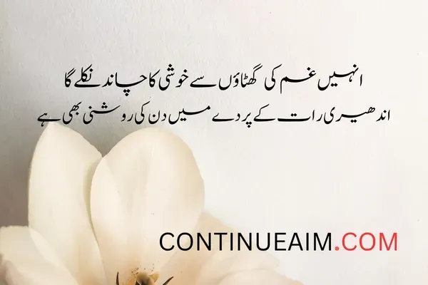 Khushi Quotes in Urdu