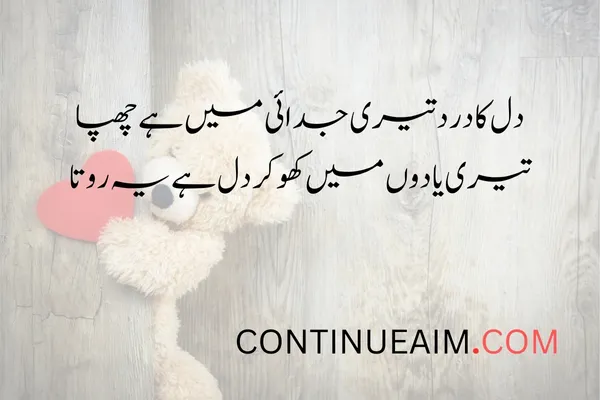 Dil Quotes in Urdu