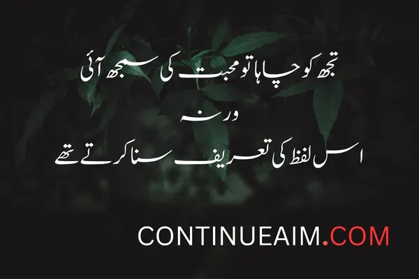 Tareef Quotes in Urdu