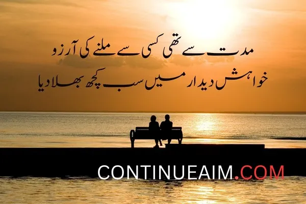Arzoo Quotes in Urdu