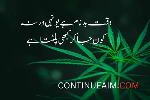 Kisi Ko Badnaam Karna Status in Urdu