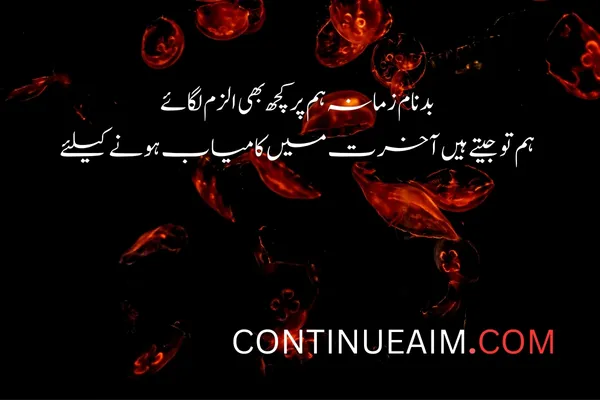 Badnaam Sad Shayari in Urdu