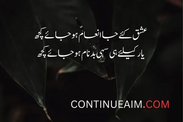 Badnaam Sad Shayari in Urdu