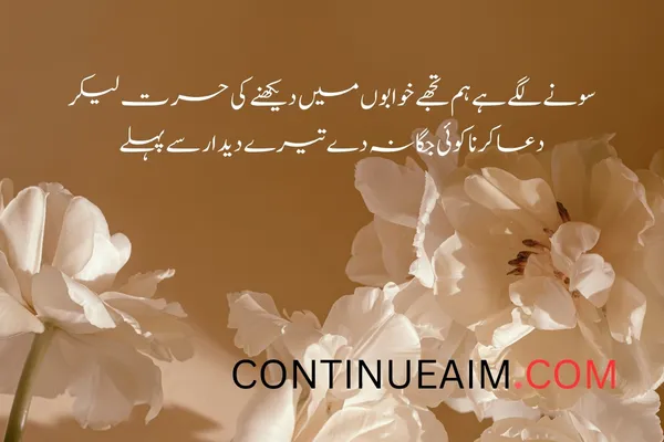 Khwab Quotes in Urdu