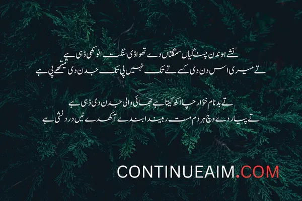 Badnaam Sad Shayari in Urdu