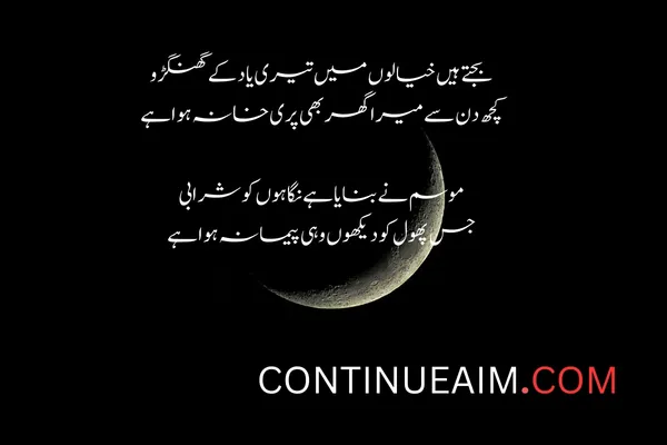 Badnaam Sad Shayari in Urdu