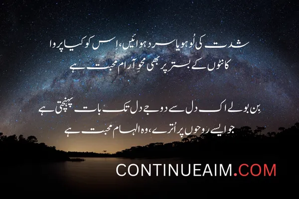 Kisi Ko Badnaam Karna Status in Urdu