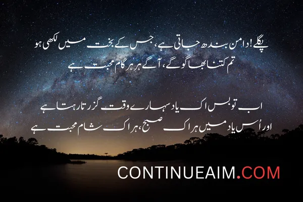 Kisi Ko Badnaam Karna Status in Urdu