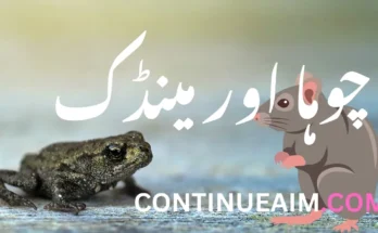 چوہا اور مینڈک