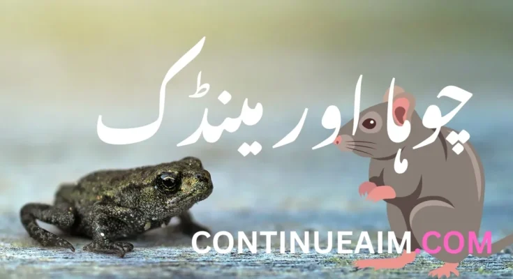 چوہا اور مینڈک