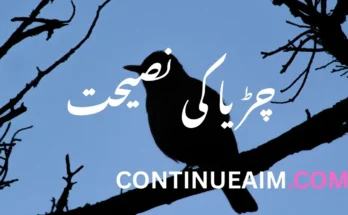 چڑیا کی نصیحت
