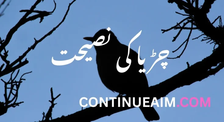 چڑیا کی نصیحت