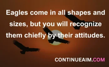 Winning Attitude Quotes