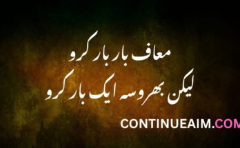 Sorry Quotes in Urdu