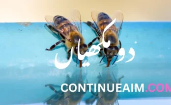 دو مکھیاں