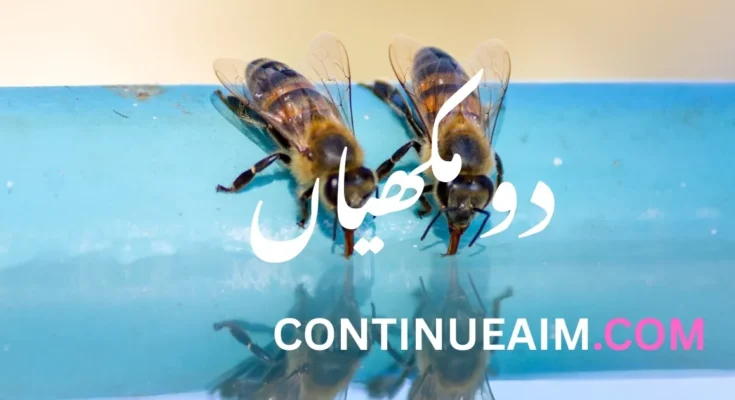 دو مکھیاں