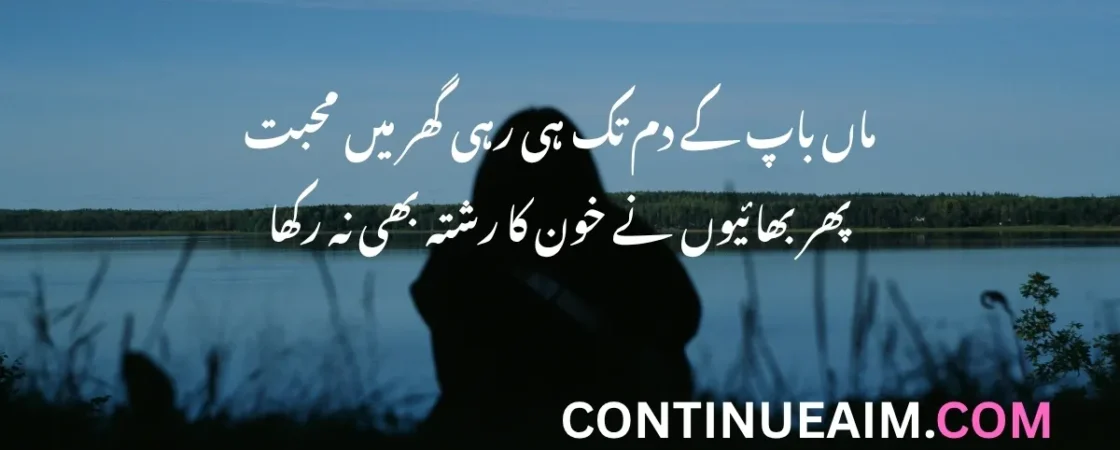 Brother Sister Quotes